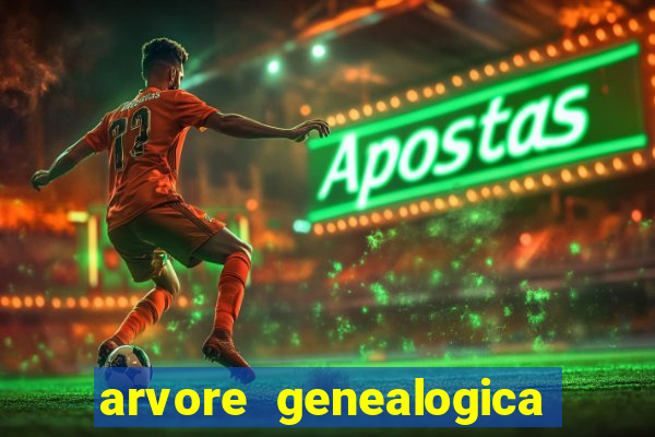 arvore genealogica dos gracie